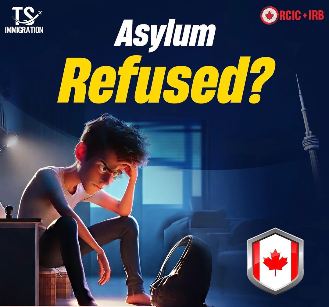 About TS Immigration